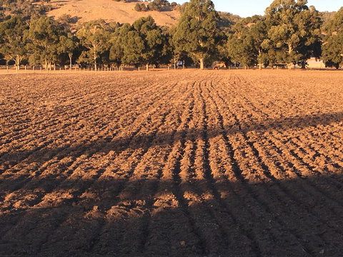 Braybrook Boutique BnB - VIC Tourism 1