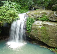 Buderim Forest Hideaway - VIC Tourism