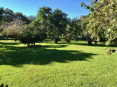 Camelot Cottages - VIC Tourism 2