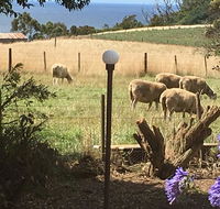 Cape View B and B - VIC Tourism