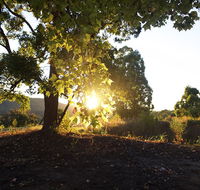 Clarendon Forest Retreat - VIC Tourism
