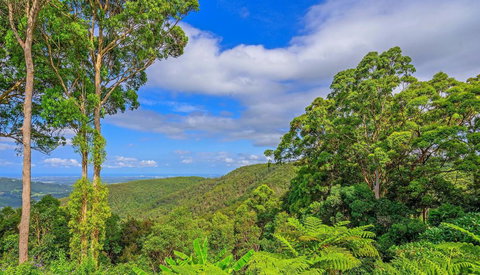 CLOUD 9 - Cliff Top Eagle Heights - VIC Tourism 3