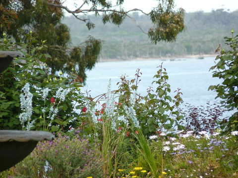 Clovelly Cottage - VIC Tourism 3