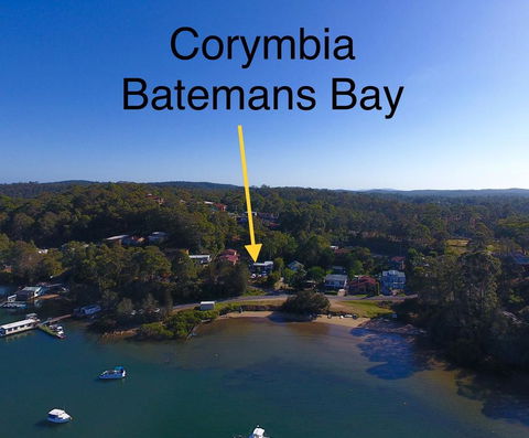 Corymbia Batemans Bay - VIC Tourism 1