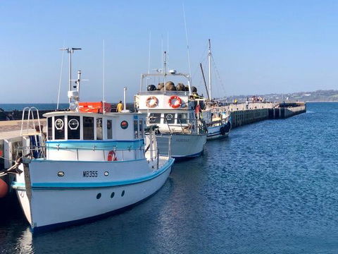 Cote D'Azur - VIC Tourism 1