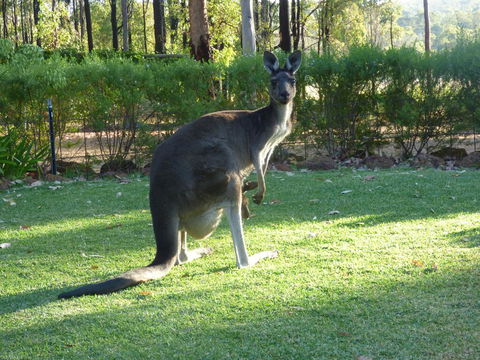 Country Charm Retreat B&B - VIC Tourism 2