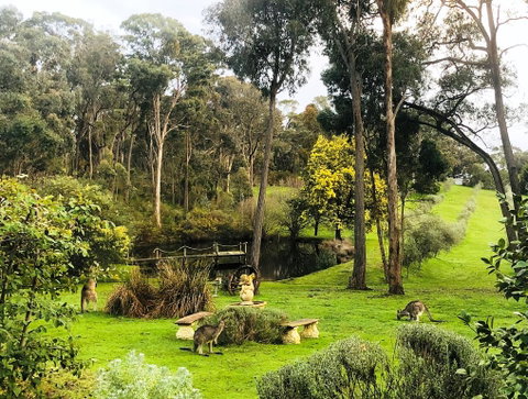Countryside Retreat Intimate Studio Hepburn - Daylesford - VIC Tourism 0