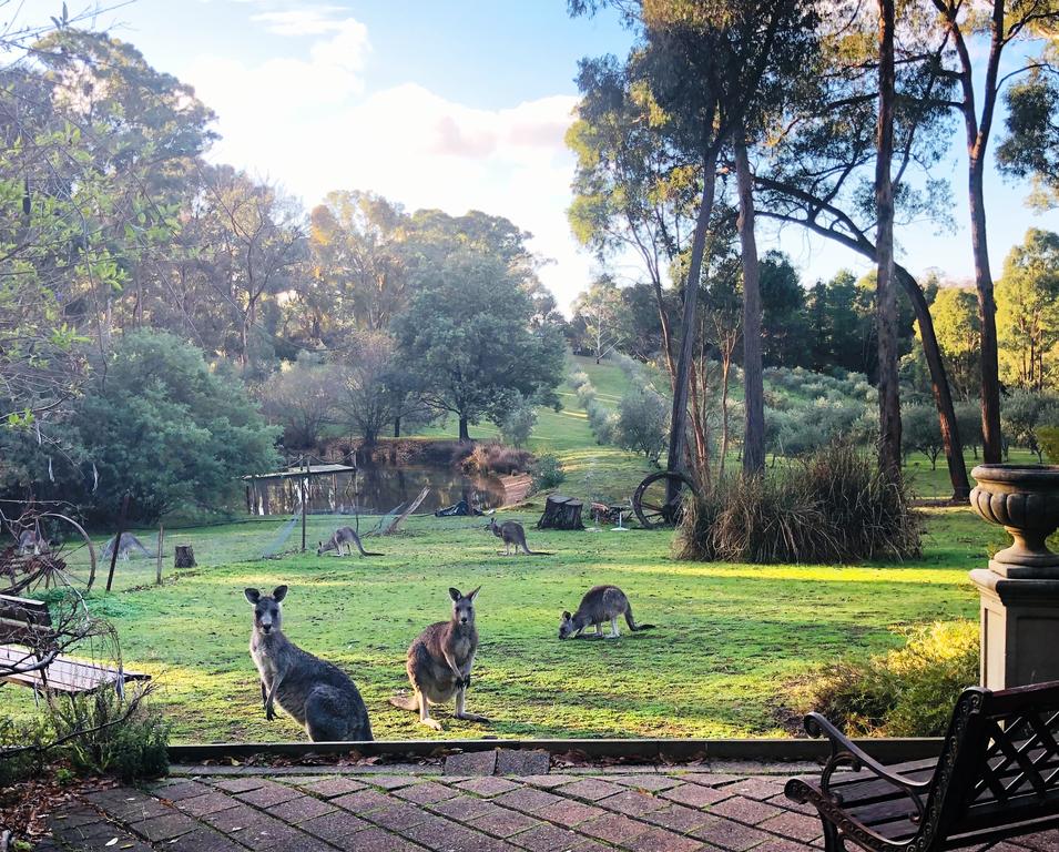 Hepburn VIC VIC Tourism