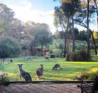 Countryside Retreat Spa Cottage Hepburn - Daylesford - VIC Tourism