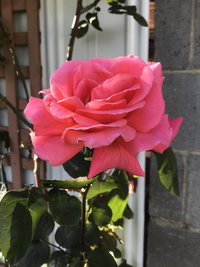 Book Mulgrave Accommodation Vacations VIC Tourism VIC Tourism