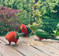 Crimson Villa - VIC Tourism