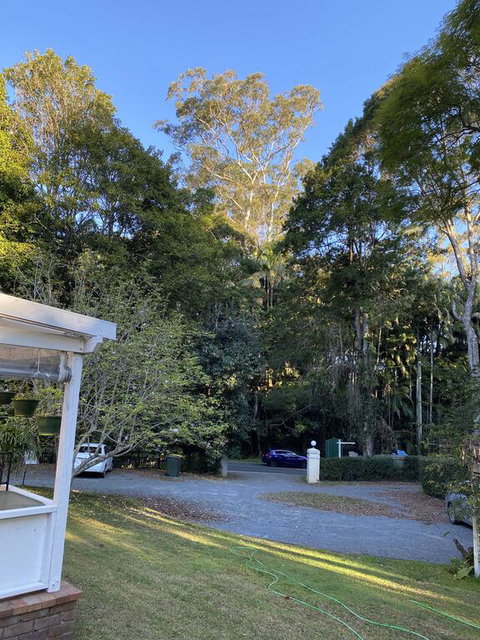 Curtis Falls Studio-Apartment - VIC Tourism 3