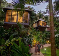 Daintree Ecolodge - VIC Tourism