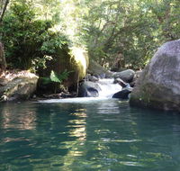 Daintree Secrets Rainforest Sanctuary - VIC Tourism