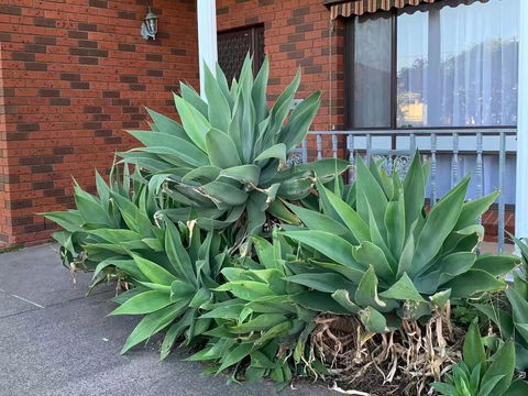 Delightful Bedroom In Bentleigh East - VIC Tourism 2