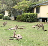 Depot Beach Cabins - VIC Tourism