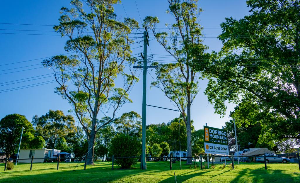 Wild Cattle Creek NSW VIC Tourism