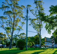 Dorrigo Mountain Holiday Park - VIC Tourism