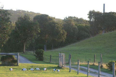 Driftwood Villas - VIC Tourism 1