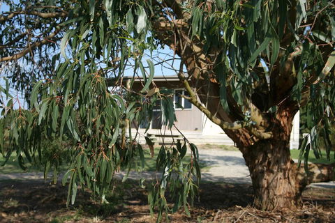 Driftwood Villas - VIC Tourism 3