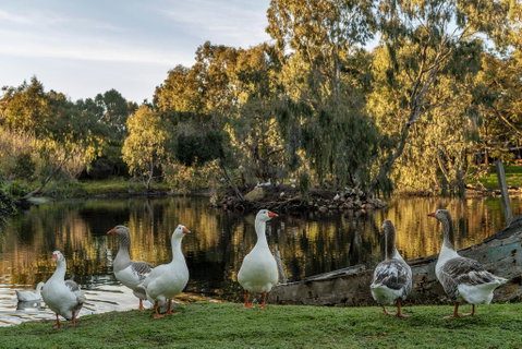 Empire Spa Retreat - VIC Tourism 2