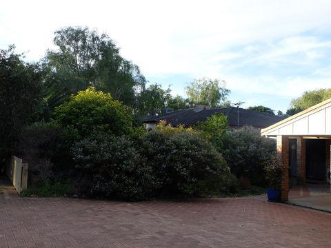Esperance Seafront Holiday Units - VIC Tourism 3