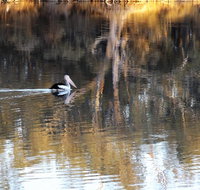 Euston Club Motel - VIC Tourism