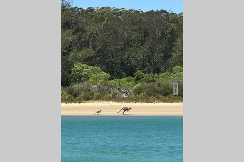 FAIRVIEW COTTAGE 25B - Waterfront Accommodation - VIC Tourism 0