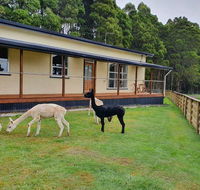 Farm Stay Lowana Strahan - VIC Tourism