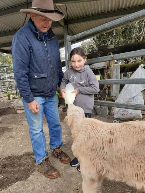 Fay's Cottage - VIC Tourism 3