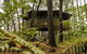 Federation Gardens & Possums Hideaway - thumb 2