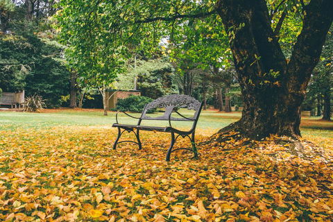 Federation Gardens & Possums Hideaway - VIC Tourism 1
