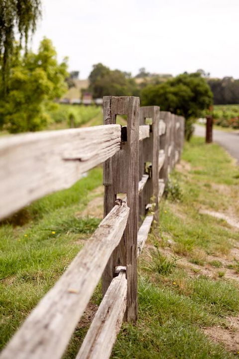 Fergusson Winery Homestead Accomodation - VIC Tourism 3