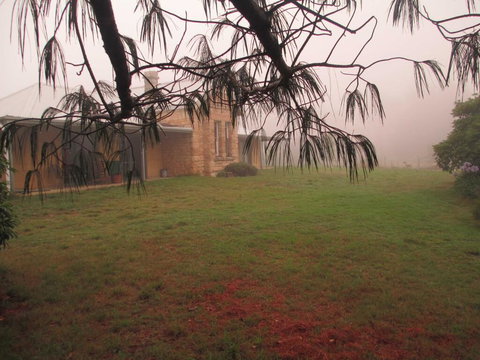 Ferndale B&B - VIC Tourism 1