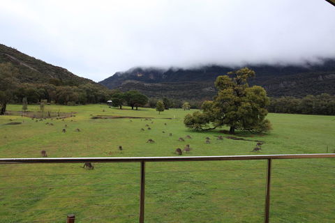 Five Clematis Views - VIC Tourism 1