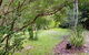 Forest View Bungalow - thumb 1