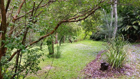 Forest View Bungalow - VIC Tourism 1
