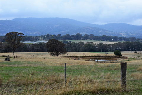 Friends In Harcourt North - VIC Tourism 2