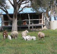 Gaddleen Grove Cottages - VIC Tourism