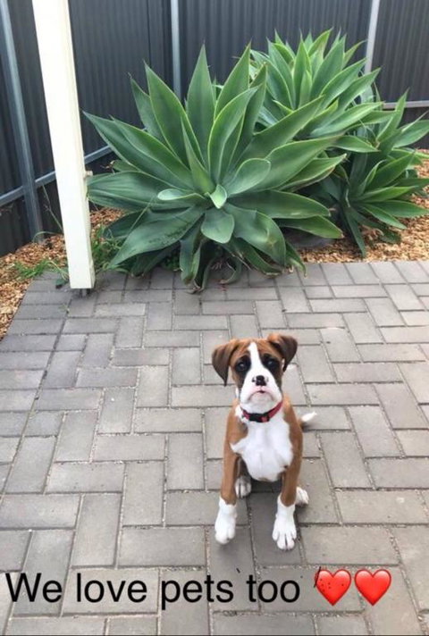 Gawler Townhouse 1 Bedroom - VIC Tourism 3