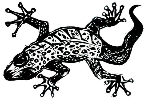 Gecko Guest House - VIC Tourism 3