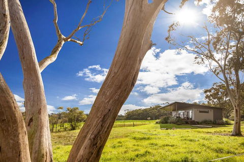 Glenworth Valley Outdoor Adventures - VIC Tourism 1