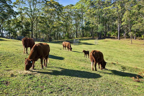 GOWAN ROSS COTTAGE - VIC Tourism 1