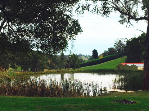 Gracefield Estate - VIC Tourism 0