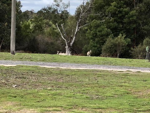 Grampians Old Man Emu Stay - VIC Tourism 3