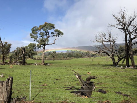 Grampians Old Man Emu Stay - VIC Tourism 2