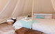 Grapevine Glamping - thumb 1