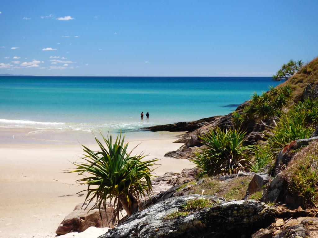 Gum Scrub NSW VIC Tourism