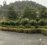 Guinevere - VIC Tourism