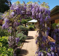 Gumtree House Montville - VIC Tourism